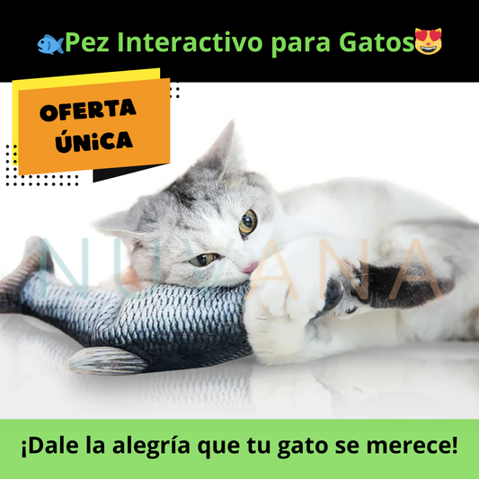 🐟PEZ INTERACTIVO PARA GATOS 😻